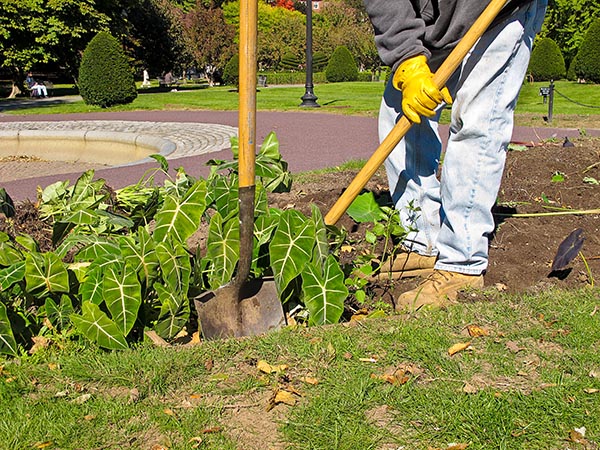 Entretien de jardin Thiers
