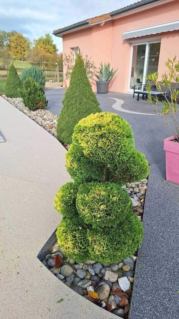 Service d’élagage à Lezoux