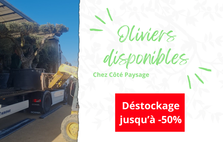 Copie de Pop up recrutement 01092025